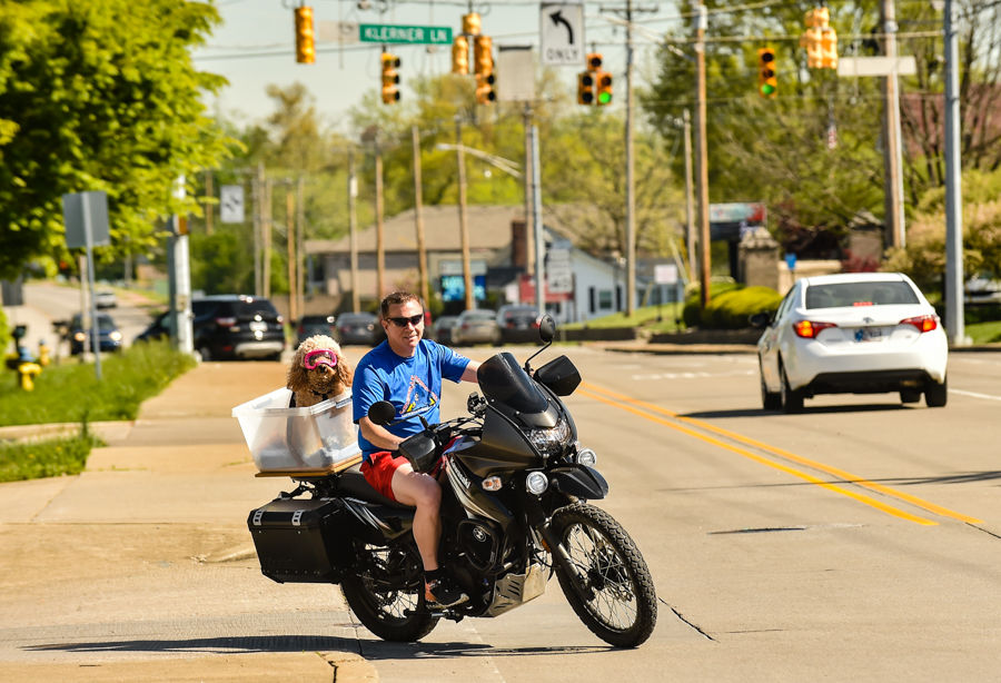 Biker and Barker-2.jpg